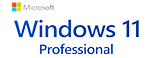 Windows 11 Professional